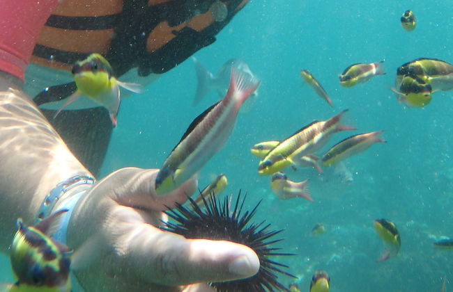 Zihuatanejo Bay Kayaking & Snorkelling - Photo 1