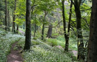 The Sea Loft Castlerock. - Foto 37