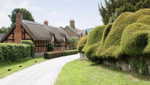 Walnut Tree Cottage - Foto 1