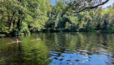 A Casa das Burgas - Photo 2