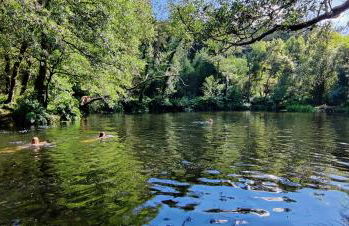 A Casa das Burgas - Photo 2