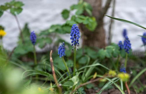 Wohlfühloase Brombachsee - Foto 35