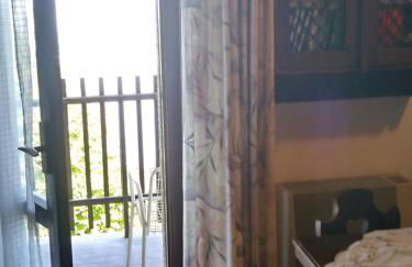 Panoramic Eagle - Photo 21