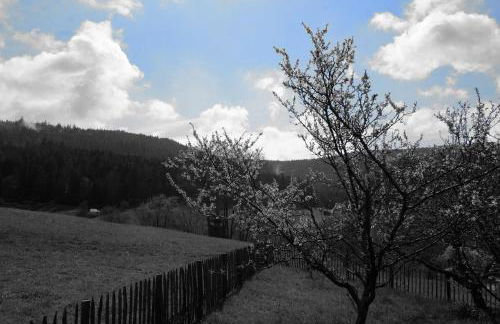 SchwarzWild - Ferienwohnung und Ferienzimmer - Foto 24