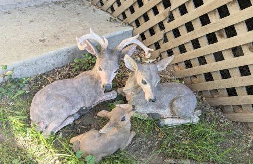 Cozy Copper Cabin Lodge - Foto 40