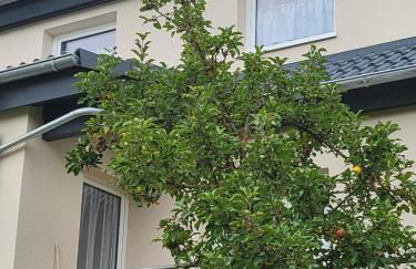 Ferienhaus Meisennest Bischof 97633 Sulzfeld-Leinach - Foto 14