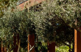 Oikos in Terre di Zaccanello - Foto 136