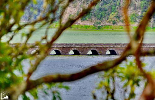 LAGOON'S HOUSE - Photo 38