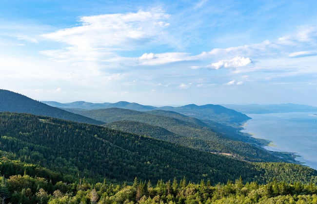 Les Caches de la Grande Pointe - Foto 29