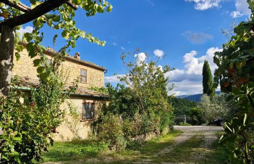 Olivo at Pietraie a cottage with many flowers in the Valley - Foto 17