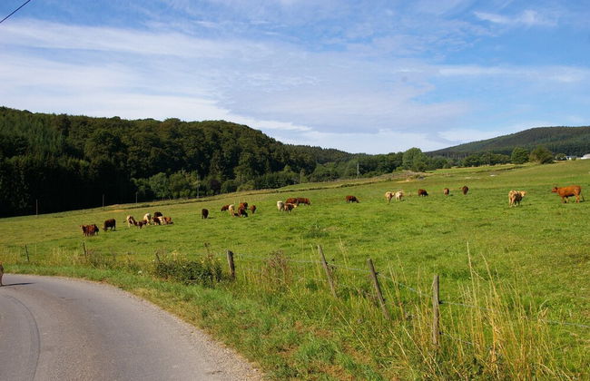 Lovely Holiday Home in Stipshausen With Terrace - Foto 24