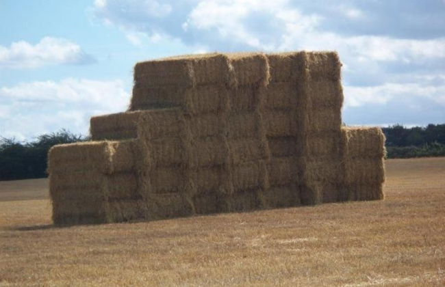 Bridge Farm Holiday Cottages - Foto 67