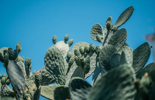 Villa delle Zagare - private hydromassage pool - Foto 51