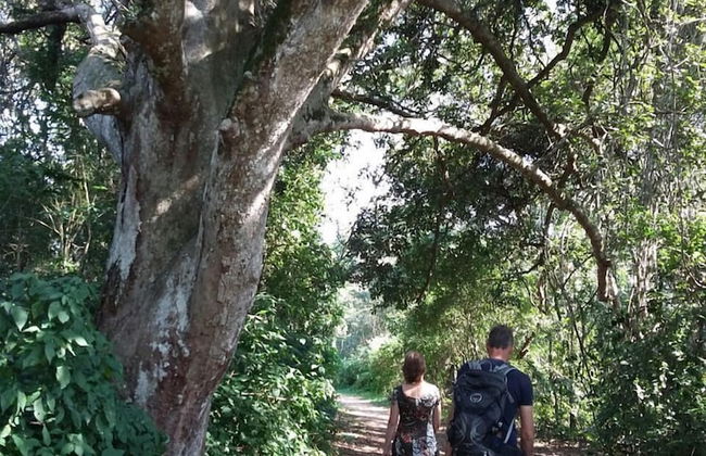 High Tide - Photo 25