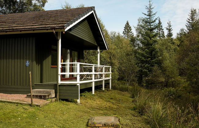 The Whooper - Foto 27