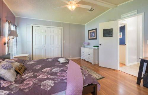 Disney Backyard Oasis - Foto 4