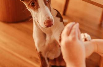 Warmia107-Butikowy dom nad jeziorem - Foto 72