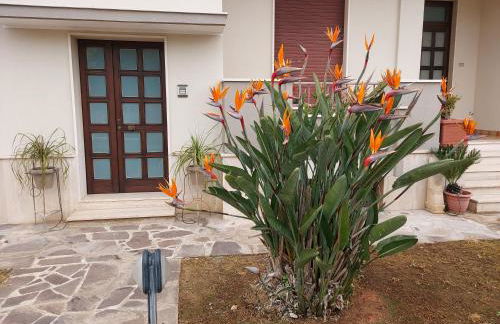 Le Strelizie - Foto 26