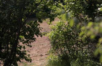 Ferienwohnung Schwalbennest - Foto 71