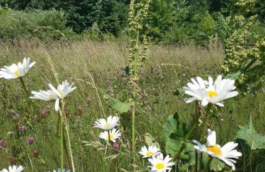 Domek nad Bugiem z Sauną - Foto 52