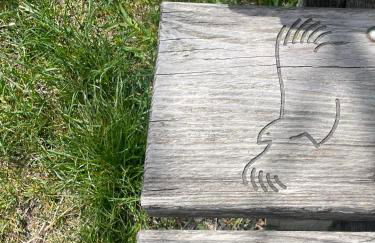 Residence S Lucia - Appartamenti alle porte di Bormio - Photo 32