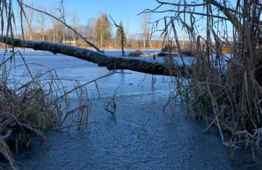 Stille x Weite - Hochwertige Wohnung mit See-Panorama - Foto 17