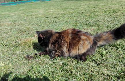 Antica Dimora - Foto 5