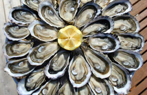 PETIT STUDIO de L'ERMITAGE - Foto 39