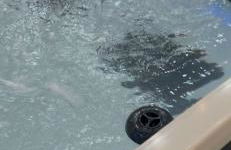 Casa Fiore Appartamento Superior - Foto 23