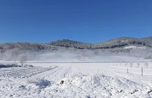 Apartmani Fenestra Tesla i Faust - Foto 29