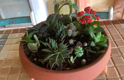 Chácara da Dinda - Photo 62