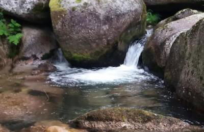 Cantinho da Pereira - Foto 41