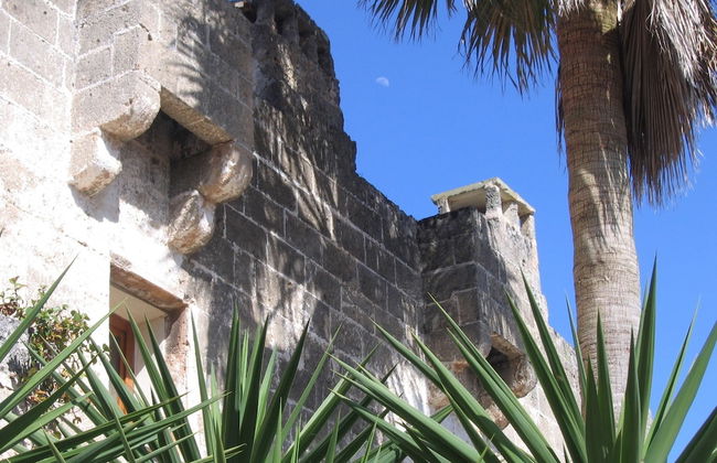 Masseria Pagani - Photo 77