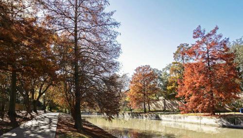 THE MADISON - San Antonio Riverwalk - Downtown - Convention Center - Foto 3