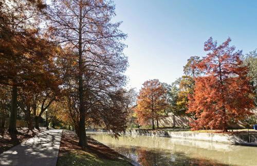 THE MADISON - San Antonio Riverwalk - Downtown - Convention Center - Photo 3