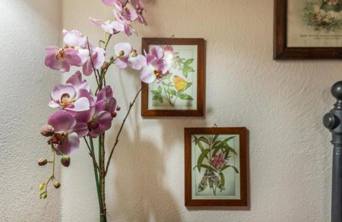 Historic Farmhouse Casa Del Chiodo - Foto 49