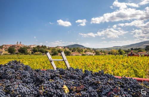 Saint Amour Appartement T2 - Foto 15