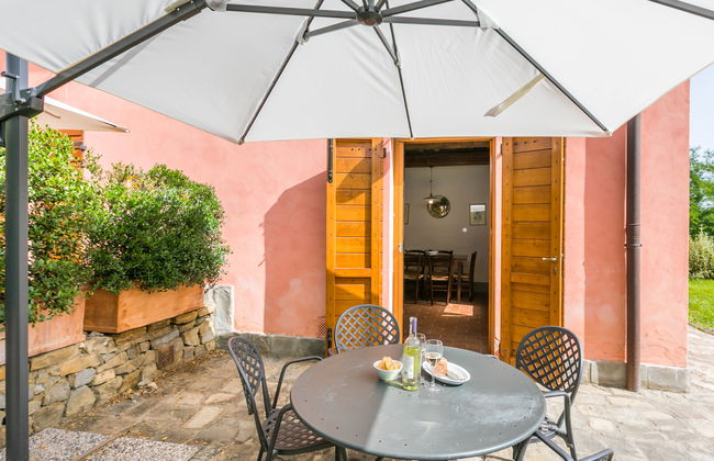 Francigena - Foto 21