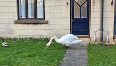 Lala lounge Stays - Foto 5