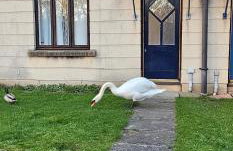 Lala lounge Stays - Foto 5