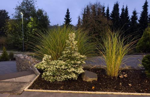 Moderne Ferienwohnung in ruhiger Lage mit Fitnessgeräte - Foto 22