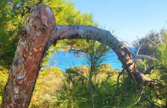 Casa del sol, Las Ocas urbanizacion,2 bedrooms , 2 bathrooms,solarium ,nice swimming pool and barbecue - Foto 31