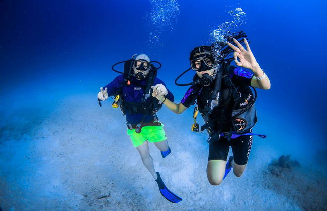 Buceo en Punta Maroma - Foto 9