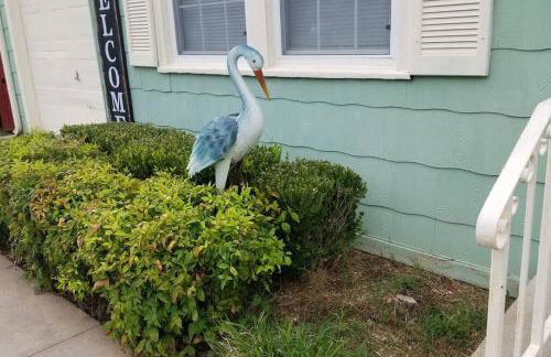 BLUE FLAMINGO'S CHARMING HOME-Heart of Tulsa2- Cherry St-Expo-11th - Foto 7