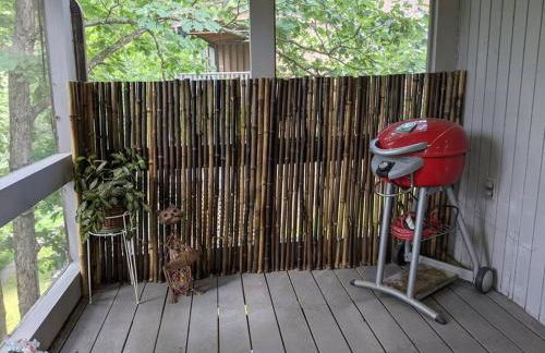 Lakeside Trail - Photo 2