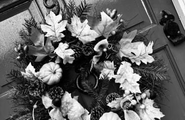 Cosy Cottage (Free parking) - Foto 19