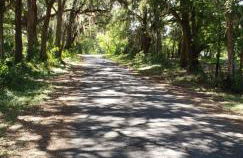 Little Ridge Ranch-East House Quiet Country Getaway-Pet Friendly! - Foto 36