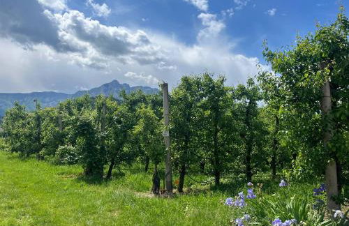 L'Angolo Verde - Photo 15