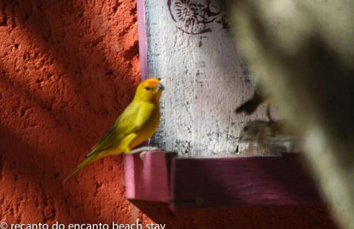 Recanto do Encanto Eco Beach Stay - Foto 83