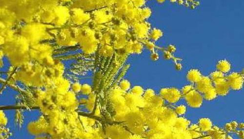 Studio indépendant dans màs provençal - Foto 2
